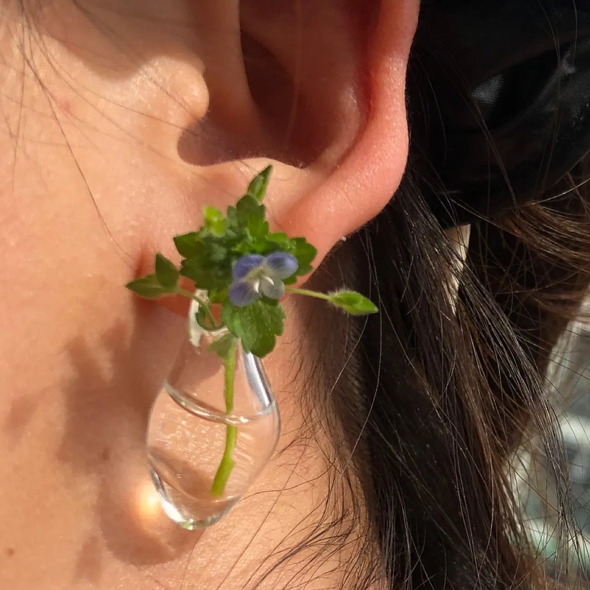 Vitality Transparent Glass Container Can Be Used To Arrange Flower Earrings