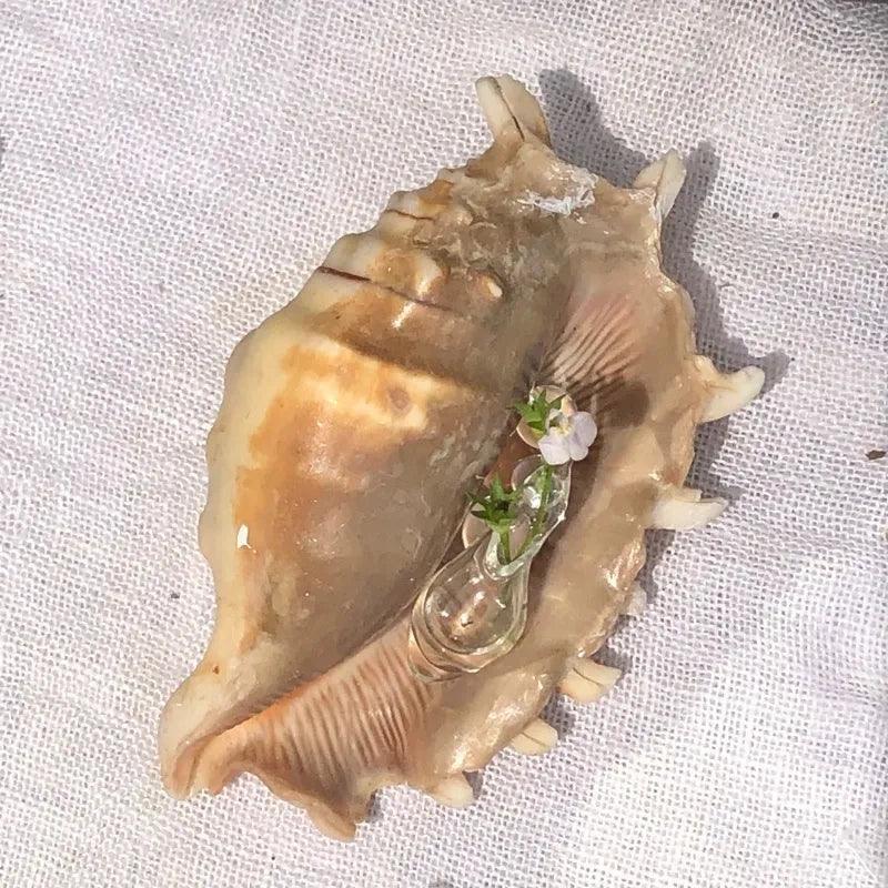 Vitality Transparent Glass Container Can Be Used To Arrange Flower Earrings - Jewelry de Corner